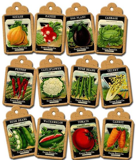 5 Best Images of Vintage Vegetable Seed Packet Printable - Vintage ... Produce Cart, Vegetable Seeds Packets, Themed Ornaments, Vintage Seed Packets, Hydroponic Farming, Bush Beans, Printable Collage Sheet, Seed Packaging, Victory Garden