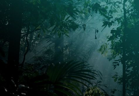 Peaceful Jungle Night  audio atmosphere Jungle Aesthetic Dark, Dark Jungle Aesthetic, Jungle Aesthetic, Amazon Forest, Marvel Aesthetic, Lord Of The Flies, Pietro Maximoff, Slenderman, Jurassic Park World