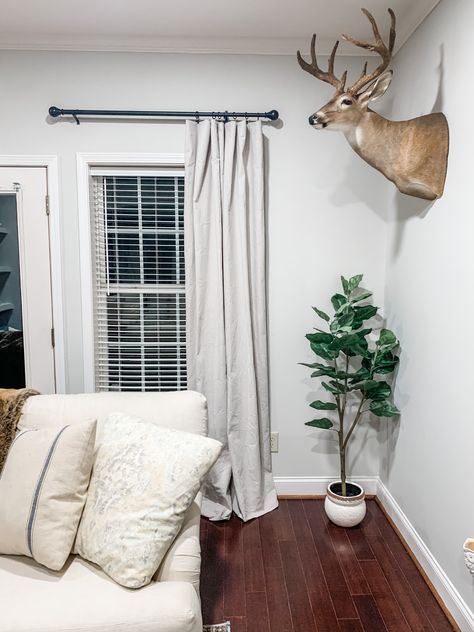 drop cloth curtains | deer mount | deer antlers | fig tree | house plant Deer Mounts In Living Room, Cloth Curtains, Deer Mounts, Drop Cloth Curtains, Drop Cloth, Deer Antler, Entry Way, Fig Tree, Deer Antlers