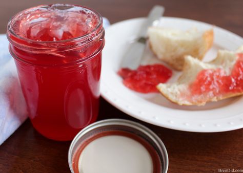 Making homemade jelly seems hard until you try it for the first time. Fresh juice, sugar and fruit pectin are all that you need. You simple stir, boil, stir, boil, and store. Enjoy preserves with no artificial colors or preservatives… just like Grandma makes! Sand Plum Jelly Recipe, Wild Plum Jelly Recipe, Wild Plum Jelly, Plum Jelly Recipe, Wild Plum, Plum Recipes, Home Canning Recipes, Homemade Jelly, Jelly Recipe