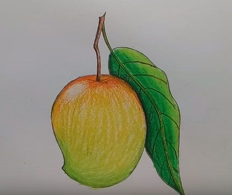 *FR*Mango Drawing & Sketches for Kids Fruit Drawing For Kids, Basic Drawing For Kids, Drawing Fruit, Oil Pastel Techniques, Fruit Drawing, Fruit Art Drawings, Drawing Lessons For Kids, Fruits Drawing, Children Sketch