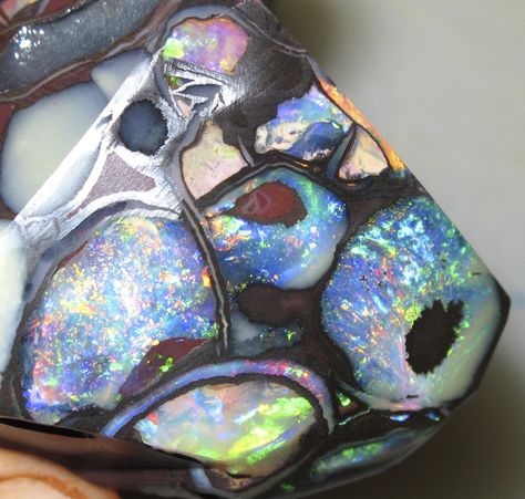 Koroit Nut Opal, opal picts, best opal pictures, amazing opal photos, colorful opals pics Lightning Ridge Black Opal, Red Opal, Rainbow Opal, Yowah Opal, Architecture Tattoo, Spiritual Crystals, Raw Opal, Rough Opal, Energy Crystals