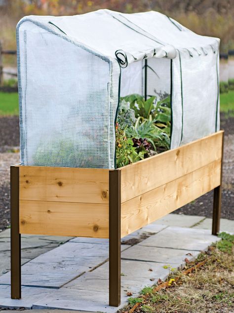 A Protection Frame and Cover fits over a 2-by-8-foot garden bed. With a steel frame and mesh curtain, it is $99.95 from Gardener’s. Planter Box With Trellis, Elevated Garden, Elevated Planter Box, Greenhouse Cover, Veggie Gardens, Elevated Gardening, Cedar Planter Box, Aquaponics Diy, Raised Garden Planters