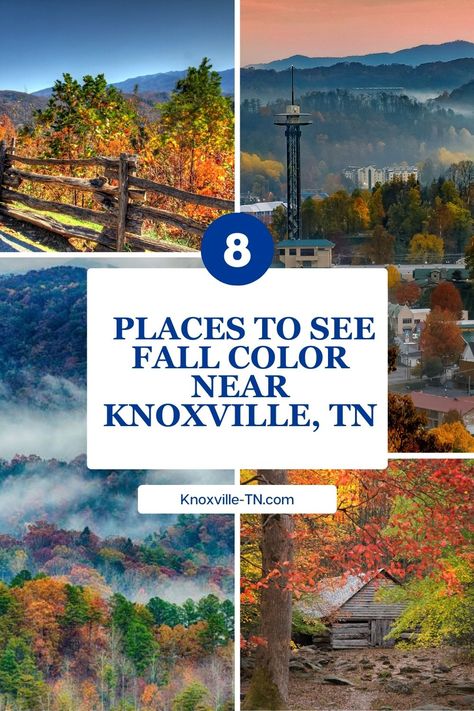 Discover the breathtaking beauty of autumn in East Tennessee! This guide reveals 8 stunning locations near Knoxville to experience the vibrant fall foliage.  Whether you're planning a scenic drive, a weekend getaway, or a photography adventure, these handpicked destinations showcase the best of fall in the Smokies. Don't miss the chance to see the rolling hills and valleys transformed into a patchwork of reds, oranges, and golds. #Fallcolor #Autumn#SmokyMountains #Knoxville #tennessee Tennessee Living, Tennessee Knoxville, Douglas Lake, Whats In Season, Union County, Rainbow Falls, Hills And Valleys, Cades Cove, Knoxville Tennessee