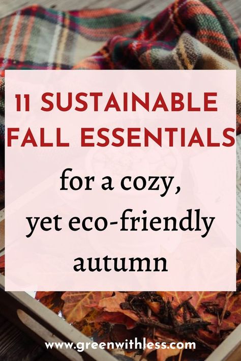 Eco Friendly Fall Decor, Sustainable Fall Decor, Apartment Fever, Sustainable Living Aesthetic, Fall Family Activities, Minimalist Lifestyle Inspiration, Make Your Home Cozy, Western Rooms, Minimalism Lifestyle