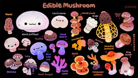 pikaole on Twitter: "Mushroom name👇… " Mushroom Plant, Mushroom Pictures, Plant Fungus, Edible Mushrooms, Posca Art, Cute Doodle Art, Mushroom Art, Dessin Adorable, Ios Icon