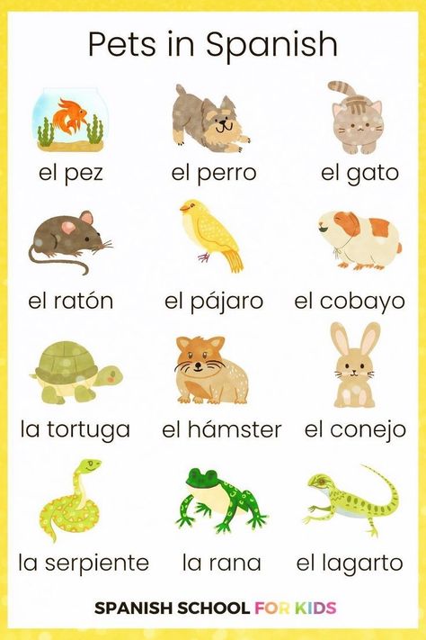 Help your kids learn Spanish & enjoy it with engaging activities that teach easy Spanish words for kids. This interactive video has a conversation & teaches simple Spanish words for kids - animals - Spanish words kids want to know! Animals are common first Spanish words for kids too. Click the link for this video so your kids can learn common Spanish words for kids easily today! Animals In Spanish Worksheet, Easy Spanish Words, Spanish Words For Kids, Conversation For Kids, Simple Spanish Words, Animals In Spanish, Preschool Spanish Lessons, Common Spanish Words, Spanish Animals