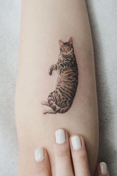 Small cat tattoos ,  body art , tattoos, Tattoo artist, Bengal Cat Tattoo, Animal Tattoos For Women, Cat Tattoo Ideas, Cat Tattoo Designs, Tattoo Cat, Memorial Tattoo, Celtic Tattoos, Cat Portrait, Nature Tattoos