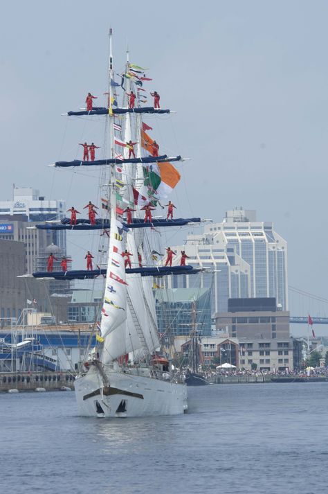 Tall Ships love to see the ships in Halifax harbour Canada Places, Halifax Harbour, Naval Architecture, Navi A Vela, Beautiful Canada, Eastern Canada, Atlantic Canada, Travel Canada, Tall Ship