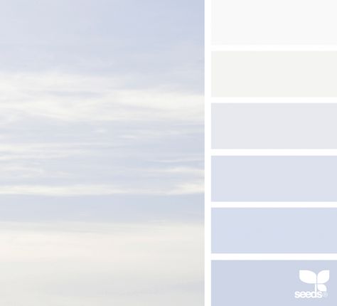 Air Color Palette, Design Seeds Color Palette, Color Palette White, Seeds Color Palette, White Pallet, Today's Inspiration, White Color Palette, Seeds Color, Color Concept