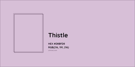 HEX #D8BFD8 Thistle Color - Color Code Thistle Color, Analogous Color Scheme, Rgb Color Codes, Colorful Website, Rgb Color Wheel, Monochromatic Color Palette, Opposite Colors, True Winter, Paint Matching