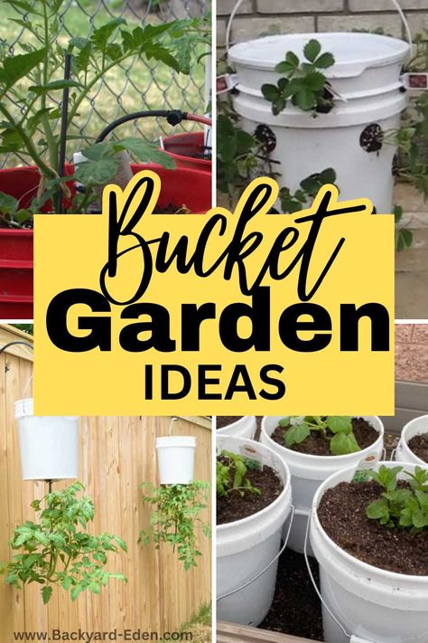 5 Gallon Bucket Garden Ideas: Unique Ways To Grow Vegetables In 5 Gallon Buckets - Backyard Eden Planting In Buckets, Growing Vegetables In 5 Gallon Buckets, 5 Gallon Bucket Raised Garden, Decorate 5 Gallon Bucket Ideas, Raised Bucket Garden, 5 Gallon Bucket Planter Ideas, Bucket Gardening 5 Gallon, Gallon Bucket Garden, Bucket Garden Ideas