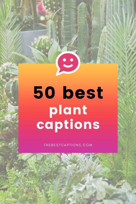 Plants Quotes Life Inspiration, Flower Captions, Flower Captions For Instagram, Plant Quotes, Life Captions, Make Me Happy Quotes, Planner Quotes, Season Quotes, Plants Quotes