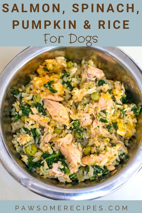 Homemade Dog Food Recipes With Salmon, Allergy Dog Food Recipe, Dog Friendly Thanksgiving Dinner, Salmon For Dogs Recipe, Salmon For Dogs, Dog Food With Salmon, Dog Salmon Recipe, Salmon Recipes For Dogs, Home Cooked Dog Meals