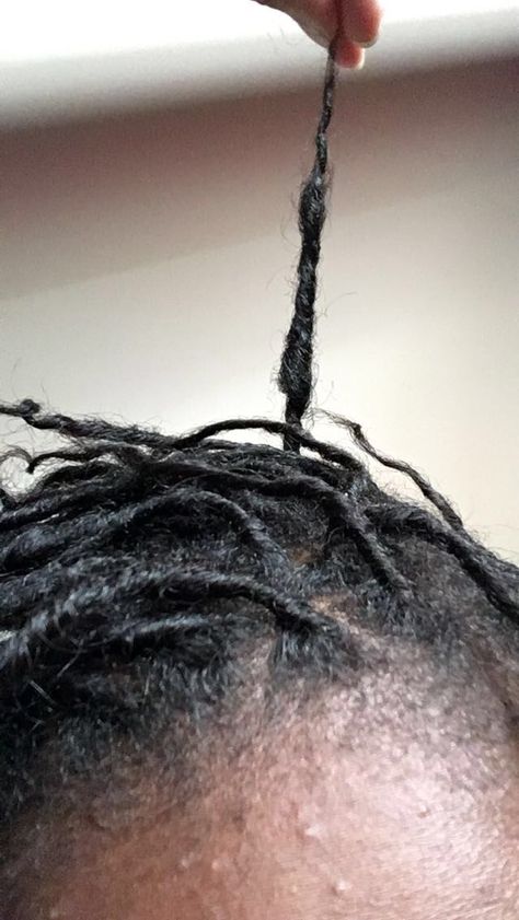 I'm currently in the budding stage. Loc Budding Stage, Starter Locs, Lion's Mane, Loc Journey, Like A Lion, Lion Mane, Happy Travels, Locs, Different Colors