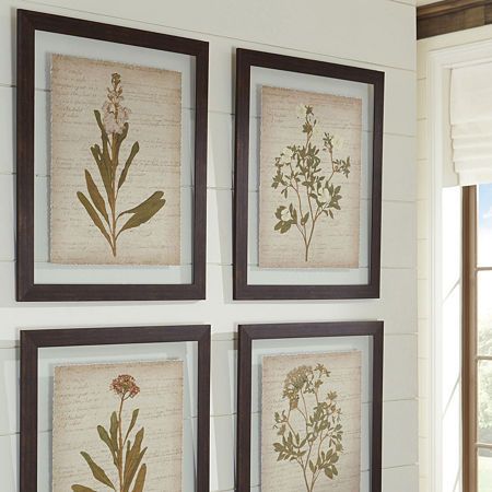 Framed Botanical Prints, Dining Room Wall Art, Botanical Wall Decor, Framed Botanicals, The Dining Room, Framed Wall Art Sets, Wall Decor Set, Dining Room Walls, Dining Room Kitchen