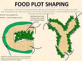 Deer Plot Ideas, Hunting Tips And Tricks Deer, Food Plots For Deer Ideas, Deer Food Plots Ideas, Deer Food Plots, Plot Design, Hunting Food, Deer Habitat, Hunting Family