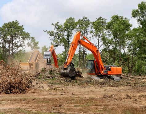 Land Clearing Cost Per Acre Land Clearing, Tree Fort, Home Building Tips, Tree Removal, Vacant Land, Tree Service, Construction Site, Mulch, Building A House