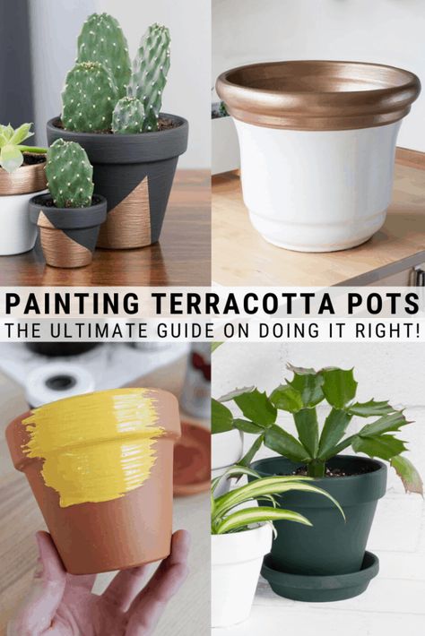 Painting Terracotta Pots, Paint Terracotta Pots, Painting Planters, Paint Terracotta, Diy Planters Pots, Painting Pots, Painted Planters, Pot Diy, Plant Pot Design