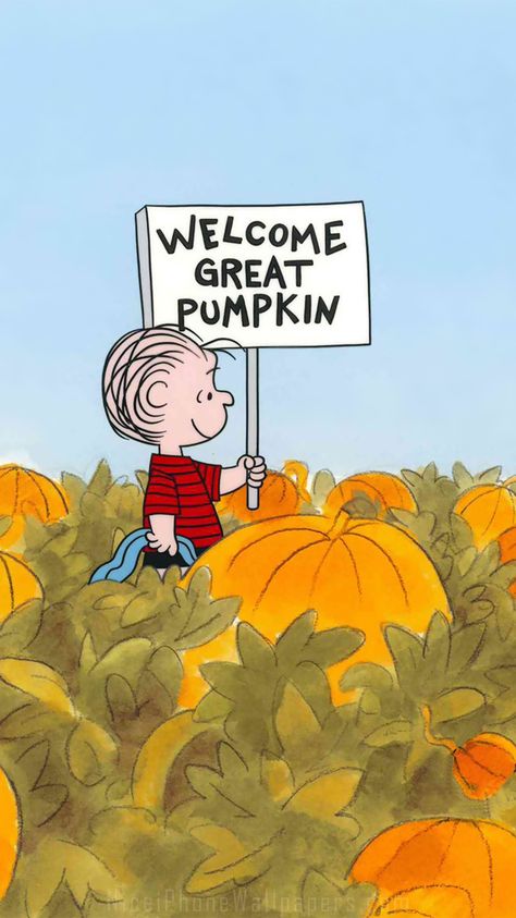 Welcome Great Pumpkin Wallpaper, Welcome Great Pumpkin, Halloween Tumblr, Charlie Brown Wallpaper, The Great Pumpkin Charlie Brown, It's The Great Pumpkin Charlie Brown, Vince Guaraldi, Great Pumpkin Charlie Brown, Pumpkin Wallpaper