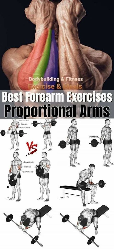 Fore Arms Exercise, Forearm Muscles Workout, Hand Workout, Forearm Workouts, Best Forearm Exercises, Forearm Exercises, Latihan Dada, Forearm Workout, Gym Workout Planner