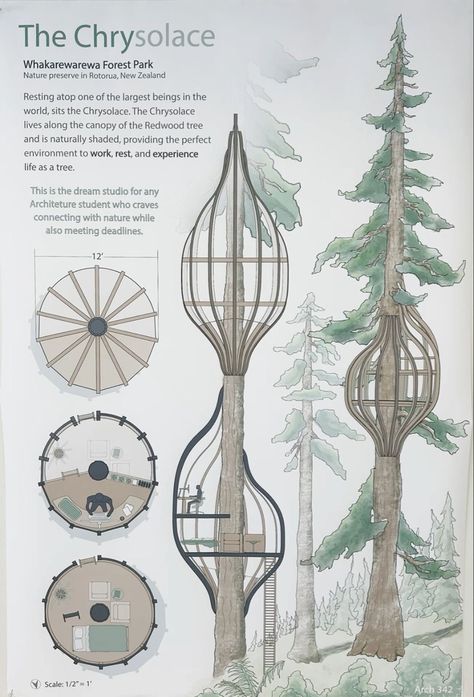 Solarpunk Interior, Nature Architecture Concept, Eco Architecture Concept, Tree House Concept, Treehouse Architecture, Utopian Architecture, Unusual Architecture, Tree Building, Tree Structure