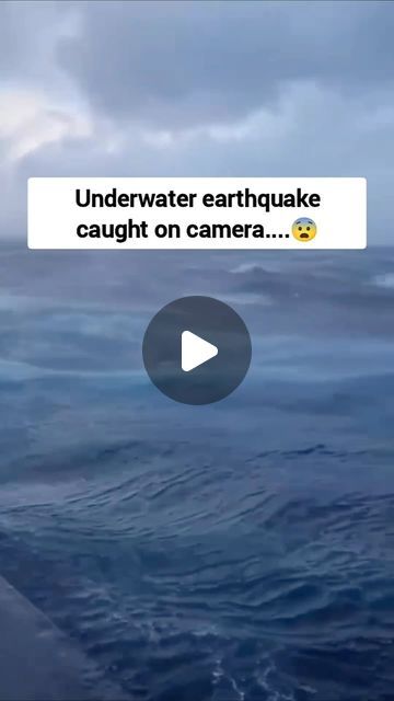 Visual Escape on Instagram: "A group of scuba divers captured the unexpected and stunning moment when an underwater earthquake erupted off the coast of Indonesia.  Earthquakes underwater can lead to tsunamis, or large waves that can be dangerous when they reach the coast. The earthquake also messes with the pressure underwater, affecting how sea animals live. Sometimes, it causes the ocean floor to move, which can trigger underwater landslides and change the homes of sea creatures.  🎥 (Unknown, DM for removal or credits)" Lightning Hitting Water, Interesting Sea Creatures, Rare Sea Creatures, Scary Ocean Videos, Scary Underwater Pics, Tsunami Video, Scary Sea Creatures, Cool Sea Creatures, Ocean Life Photography