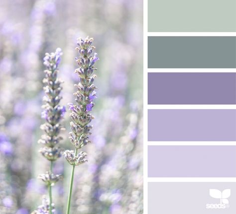 Nature Tones Lavender And Sage Palette, Color Pallets With Lavender, Lilac And Green Bathroom, Lavender Sage Bedroom, Sage Green And Lavender Bathroom, Lavender And Sage Living Room, Sage And Purple Bathroom, Lavender Sage Color Palette, Sage Green And Purple Nursery