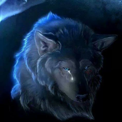 wolf crying on the night Wolf Cry, Demon Wolf, Marley And Me, Native American Wolf, Animal Spirit Guides, Native American Pictures, Wolf Photos, Wolf Pictures, Native American Peoples