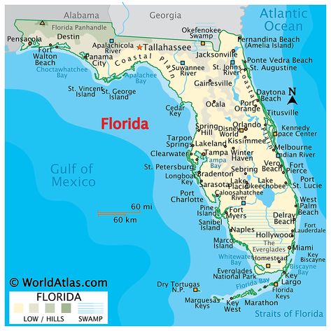 Florida Maps & Facts - World Atlas Florida Map Printable, Honeymoon Tattoo, Map Of Florida Beaches, Florida Keys Map, Florida State Map, Florida Attractions, Florida Map, Road Maps, Usa Florida