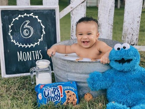 Cookie Monster Milk Bath Pictures, Cookie Monster 6 Month Photo Shoot, Cookie Monster Photo Shoot, Cookie Monster Pictures, 6 Month Baby Picture Ideas Boy, Milestone Ideas, Luca Birthday, 6 Month Baby Picture Ideas, Bath Pictures