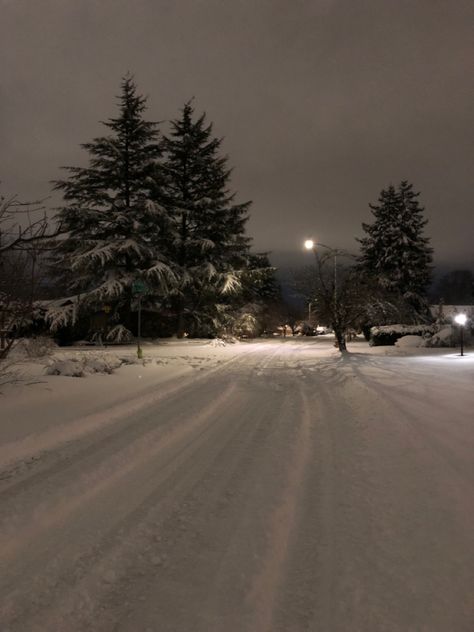 Snowless Winter Aesthetic, The Fear Natasha Preston Aesthetic, Oregon Winter, Snow Night, Snowy Weather, Pacific City, Emo Wallpaper, Dark Winter, Mystery Books