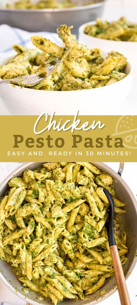 Chicken And Penne Pasta, Basil Pesto Chicken Pasta, Creamy Chicken Pesto Pasta, Pesto Pasta Recipes Chicken, Basil Pesto Chicken, Chicken Pesto Pasta, Creamy Pesto Chicken Pasta, Healthy Pesto, Basil Pesto Sauce