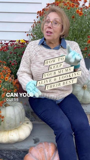 Babs on Instagram: "🍁Here are my tried and true tips for keeping your mums beautiful all-season long. 🍁1) At the nursery, look for mums with many buds that have not quite opened yet 🍁2) When you get home, soak your mums in a large bucket of water for about 20 minutes 🍁3) Place a plastic plant saucer under your mums. Fill saucer up with water every time your mum’s soil is dry to the touch or just lift them up and if they are feeling light it’s time for a refill 🍁Remember, mums are root feede Fried Tequila Shots, Caring For Mums, Mums In Pumpkins, Bucket Of Water, Planting Mums, Garden Mum, Sausage Casing, Overnight Breakfast Casserole, Overnight Breakfast