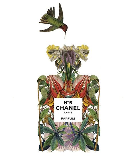 Chanel Flower, Parfum Chanel, Flower Bottle, Illustration Botanique, Chanel No 5, Art Et Illustration, Fruit Print, No 5, Design Graphique