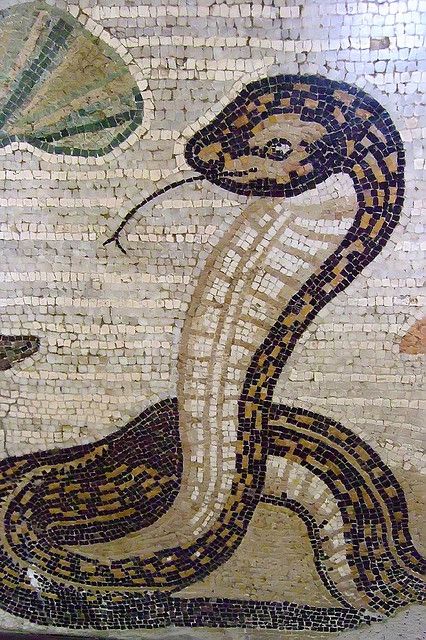 Cobra Detail from Mosaic depicting a Nilotic scene from the House of the Faun in Pompeii Roman 2nd century BCE - 79 CE by mharrsch, via Flickr Roman Mosaic Art, Ancient Roman Art, Pompeii Ruins, Pompeii Italy, Pompeii And Herculaneum, Roman Mosaic, Mosaic Artwork, Roman History, Roman Art