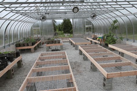 layout of greenhouse - Google Search Diy Greenhouse Tables, Greenhouse Table Ideas, Greenhouse Tables Diy, Commercial Greenhouse Ideas, Farm Layout 10 Acres, Greenhouse Tables, Hydroponic Herb Garden, Greenhouse Benches, Garden Center Displays