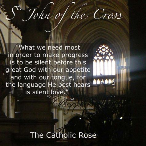 john of the cross quotes | St. John of the Cross The Cross Quotes, Lenten Quotes, St John Of The Cross, Cross Quotes, John Of The Cross, Catholic Gentleman, Pomegranate Flower, Eucharistic Adoration, Saint Quotes Catholic