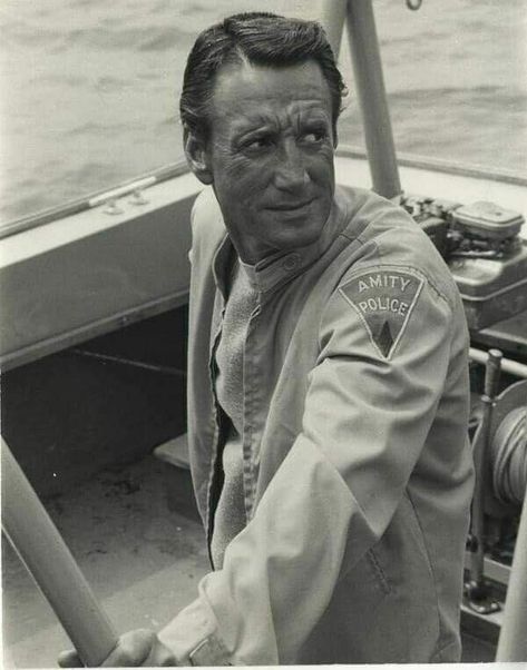 Martin Brody, Seaquest Dsv, Jaws 1975, Uss Indianapolis, Jaws 2, Roy Scheider, Jaws Movie, Funny Shark, Movie Franchises