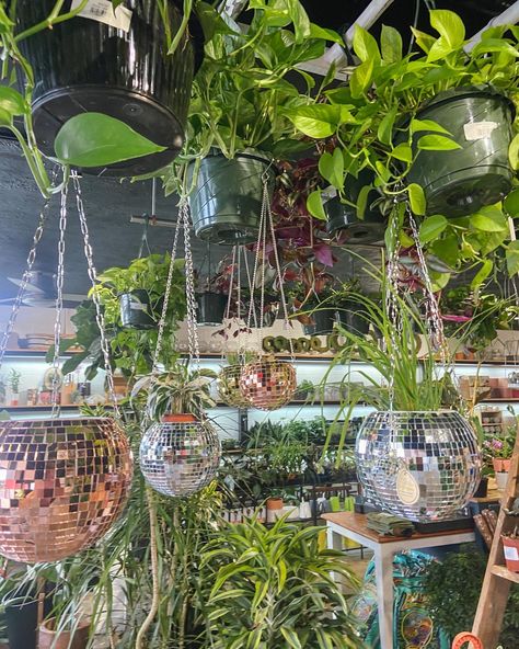 Scandinavian Plants, Disco Ball Aesthetic, Disco Ball Decorations, Flower Shop Design, Plant Store, Ball Aesthetic, Disco Balls, Room With Plants, Aesthetic Cute