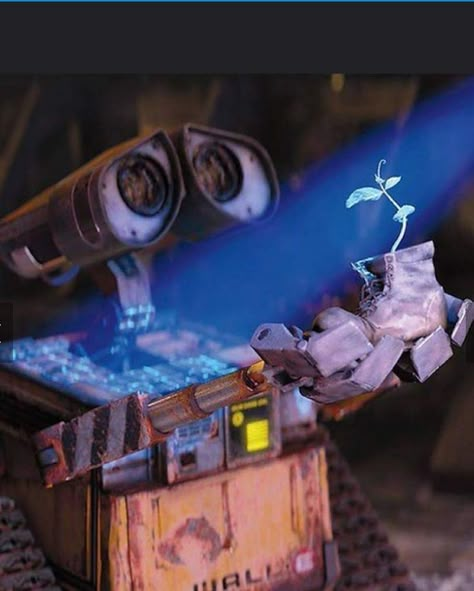 Wall E Costume, Walle Y Eva, Walle And Eva, Wall E Movie, Wall E Eve, Boss Wallpaper, Photo Cute, Disney Wall, Movie Shots