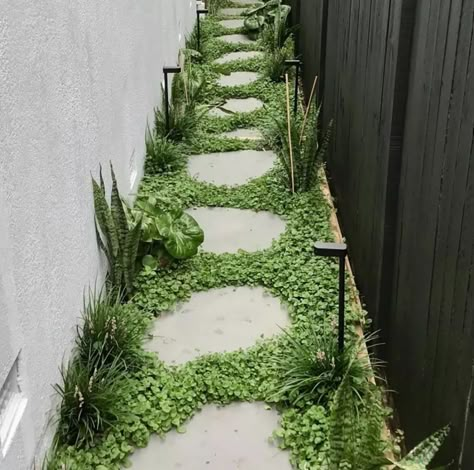 Side Path, Pool Plants, Garden Pavers, Small Courtyard Gardens, Grandmas Garden, Side Garden, Native Garden, Garden Landscape Design, Garden Pathway