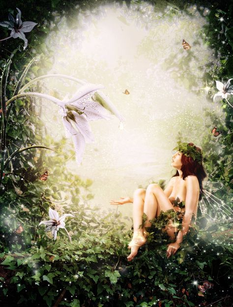 Spring Forest Nymph • Brandy Martin Fairy Whispers, Happy Birthday Fairy, Charlotte Bird, Dark Fairy Core, Fairy Grunge Aesthetic, Dark Hedges, Dark Fairycore, Witch Core, Spring Forest