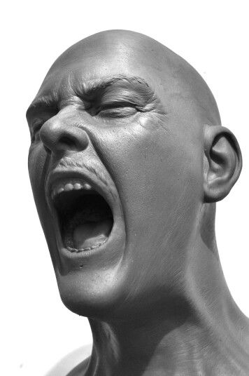 Screaming Man Yelling Drawing Reference, Scream Art, Head Anatomy, Ceramic Sculpture Figurative, Face Anatomy, Expressions Photography, Anatomy Sculpture, Le Cri, Afrikaanse Kunst