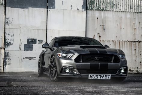 Black Stripes and Velgen Rims Revealing the Racing Spirit of Gray Mustang Shelby Grey Mustang, Mustang Stripes, 2014 Shelby Gt500, Mustang 1969 Black, Black Mustang With Stripes, Black Mustang, Black Rims, Military Discounts, Car Girl