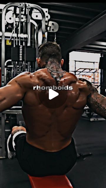 Fitness| Muscle building | Workouts on Instagram: "Back workout for demon back. 😈 
Follow @thefitnesshealth_base for daily fitness tips and workouts 💪. 

Workouts by @dickersonross 
Edited by @thefitnesshealth_base 

#gym
#backworkout 
#reelsinstagram
#backexercise
#UpperBodyWorkout 
#usa🇺🇸 
#usafitness 
#instagram 
#explorepage" Men Back Workout At Home, Mens Back Workout Gym, Best Back Workouts For Men, Back Workout For Men, Demon Back, Back Workout Bodybuilding, Back Workout Men, Back Workout At Home, Good Back Workouts