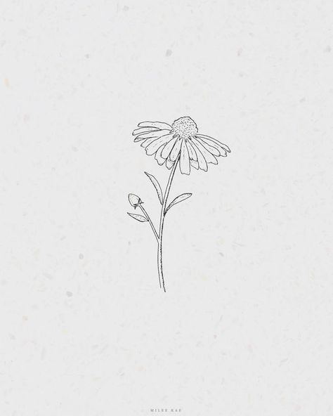 Simple Flower Sketch, Daisy Flower Drawing, Daisy Drawing, Flower Sketch, Minimal Drawings, Flower Line Drawings, Daisy Tattoo, Drawing Tattoo, Poetry Art