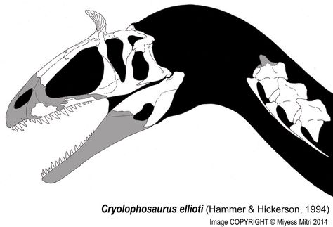 Cryolophosaurus Skeleton, Skeleton Drawing, Overwatch Funny, Skeleton Drawings, Dinosaur Illustration, Dinosaur Skeleton, Jurassic Park World, Prehistoric Creatures, Prehistoric Animals