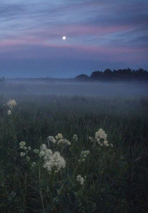 Nature Aesthetic, Pretty Places, Aesthetic Photo, Pretty Pictures, Full Moon, Beautiful World, Beautiful Landscapes, Mother Nature, Havana