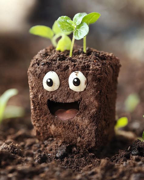 "Improving your garden soil is a great way to ensure healthy plants and a thriving garden. Here are some tips to enhance your soil quality:  1. **Add Organic Matter:** Incorporating compost, well-rotted manure, or leaf mold can boost soil structure and fertility. Aim for a 2 to 4-inch layer of organic matter and till it into the top 6 to 8 inches of soil.  2. **Test Your Soil:** Conduct a soil test to determine pH and nutrient levels. This will help you understand what your soil needs - whether it’s lime to raise pH, sulfur to lower it, or specific nutrients.  you'll find the full recipe with it instructions in the first comment  Remember to take your time and observe how your soil improves with each step. Happy gardening!" Soil Improvement Tips, Leaf Mold, Soil Test, Acidic Soil, Thriving Garden, Soil Testing, Soil Layers, Soil Health, Soil Improvement